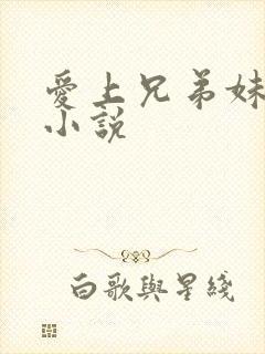 爱上兄弟妹妹的小说封面