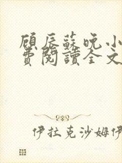 顾辰苏晚小说免费阅读全文最新章节封面