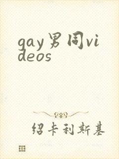 gay男同videos封面
