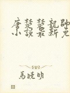 唐楚楚龙帅江辰小说最新免费阅读