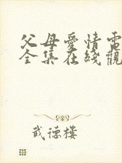 父母爱情电视剧全集在线观看45