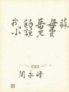 我的岳母苏沛真小说免费
