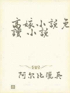 高嫁小说免费阅读 小说