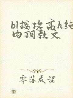 bl总攻高h纯肉调教文封面