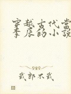 穿越古代当太子李辰的小说