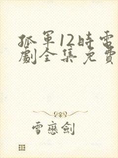 孤军12时电视剧全集免费播放高清封面