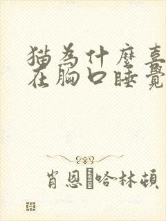 猫为什么喜欢趴在胸口睡觉