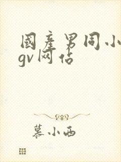 国产男同小鲜肉gv网站