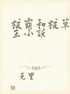 校霸和校草双男主小说