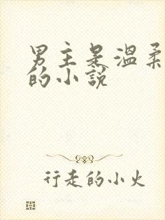 男主是温柔人鱼的小说