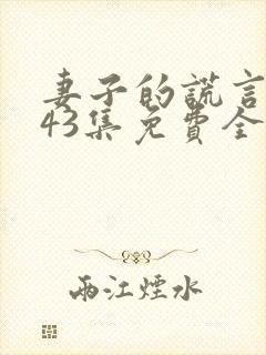 妻子的谎言电视43集免费全集封面