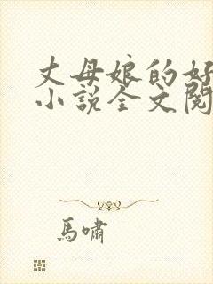 丈母娘的好女婿小说全文阅读