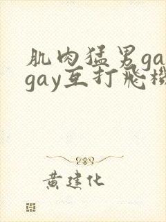 肌肉猛男gaygay互打飞机
