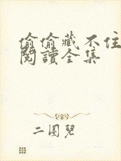 偷偷藏不住免费阅读全集