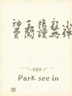 神王杨毅小说免费阅读无弹窗封面