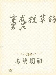 穿成校草的炮灰男友封面