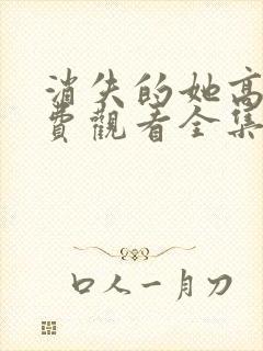 消失的她高清免费观看全集电视剧