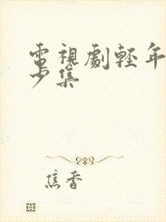 电视剧轻年有多少集