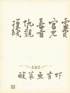 复仇长官电影在线观看免费完整版