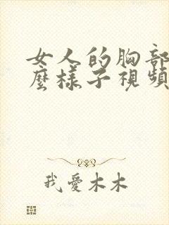 女人的胸部长什么样子视频封面