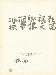 sm捆绑调教贞操带恨天高超短裙丝袜小说