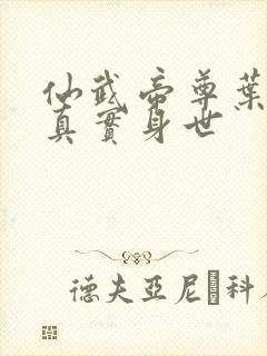 仙武帝尊叶辰的真实身世