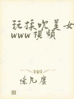 玩揉吮美女胸的www视频