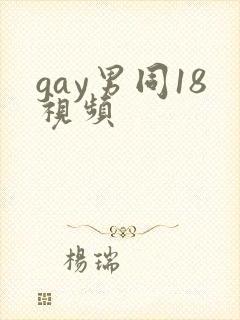 gay男同18视频
