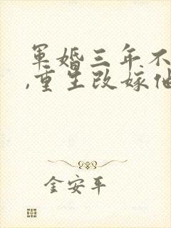 军婚三年不圆房,重生改嫁他首长全书下载