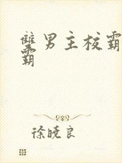 双男主校霸和学霸封面