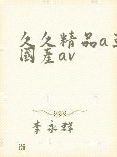 久久精品a亚洲国产av