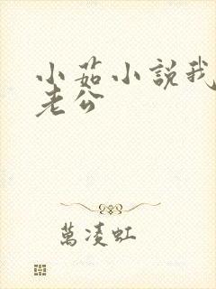 小茹小说我的狗老公