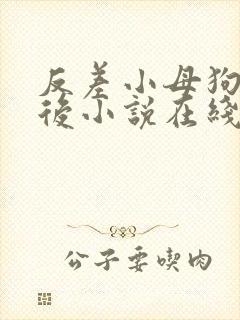 反差小母狗00后小说在线阅读免费