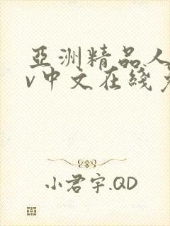 亚洲精品人妻av中文在线免费播放封面