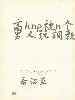高hnp被n个男人玩调教
