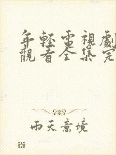 年轻电视剧免费观看全集完整版高清封面