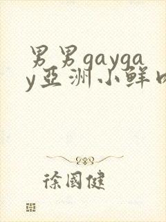 男男gaygay亚洲小鲜肉网站