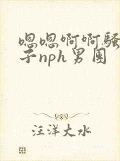 嗯嗯啊啊骚软奶子nph男团