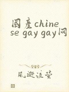 国产chinese gay gay网站封面