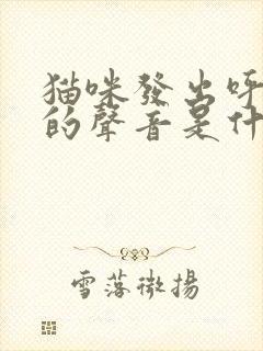 猫咪发出呼噜噜的声音是什么情况