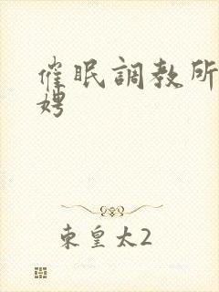 催眠调教所李晓娉封面