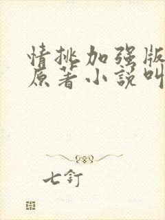 情挑加强版静心原著小说叫什么名字