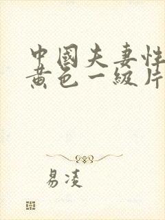 中国夫妻性生活黄色一级片封面