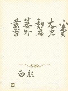 黄蓉和大小武的番外篇免费阅读封面