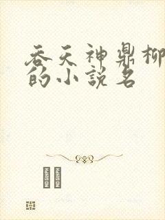吞天神鼎柳无邪的小说名
