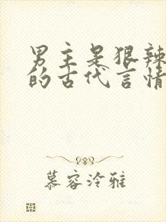 男主是狠辣权臣的古代言情