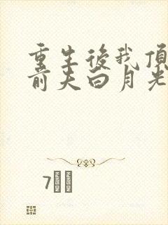 重生后我顶替了前夫白月光有声版