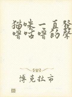 猫咪一直发出咕噜咕噜的声音还弓背