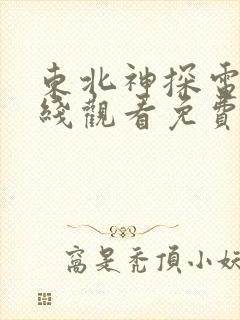 东北神探电影在线观看免费版高清