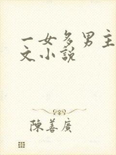 一女多男主的爽文小说